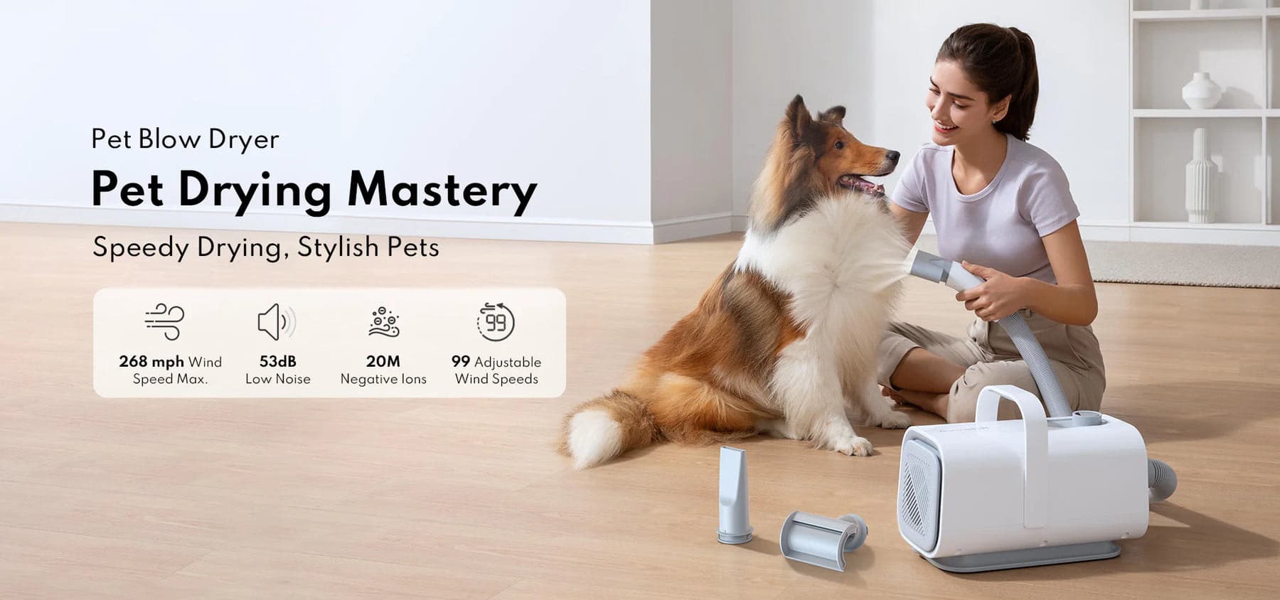 HomerunPET Pet Drying Mastery — оригинальная графика PD10